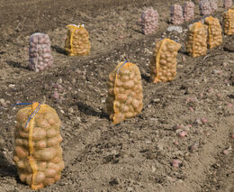 Ke Strategickému plánu s předsedou ASZ ČR Jaroslavem Šebkem v týdeníku Zemědělec