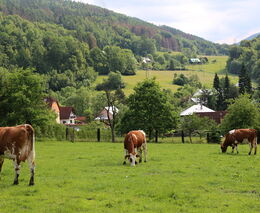 Vrecionová v EP více podpoří rodinné farmy, doufá Asociace soukromého zemědělství