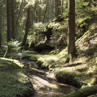 7. kolo podpory na rozvoj venkova přináší zjednodušení