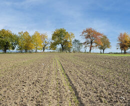 Česká krajina: Suchá, monotónní a degradovaná! Jakou má tedy budoucnost?