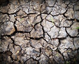 ASZ ČR hlavním koordinátorem mezinárodního projektu AGRIWATER