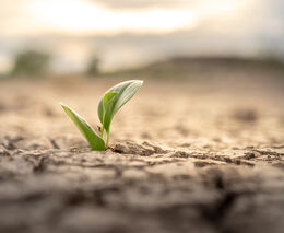 Asociace dokončuje mezinárodní projekt AGRIWATER, farmářům je již k dispozici vzdělávací platforma  