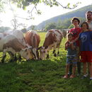 Rodinné farmy tvoří páteř evropského zemědělství, potřebují ale legislativní podporu