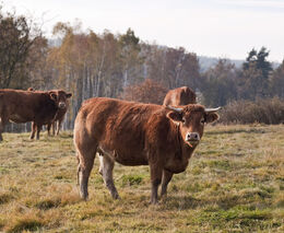 Výzva zemědělcům, politikům, Agrární komoře a Zemědělskému svazu