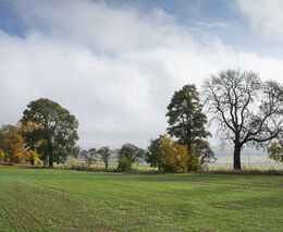 Vláda schválila novelu zákona o ochraně přírody a krajiny