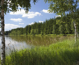 Europoslanci těsně podpořili normu o obnově přírody, kterou kritizují zemědělci
