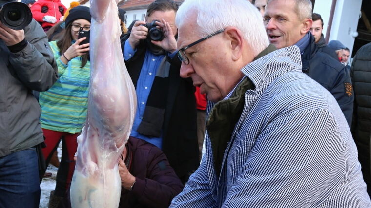 Místo jasných názorů bude Drahoš v debatách stahovat králíka, neudržel se Ovčáček