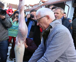 Místo jasných názorů bude Drahoš v debatách stahovat králíka, neudržel se Ovčáček