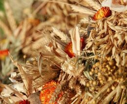 Selské dožínky letos proběhnou v Pardubickém kraji