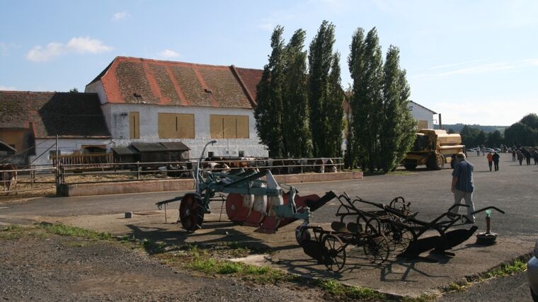 Na farmě u Suchých. Před rybolovem posnídejte pštrosí vajíčka