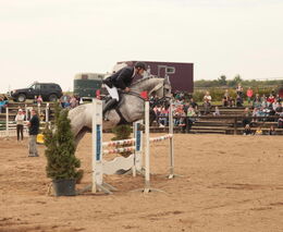 Farmářské slavnosti a Dožínky ASZ ČR v Židovicích