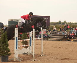 Farmářské slavnosti a Dožínky v Židovicích - fotogalerie