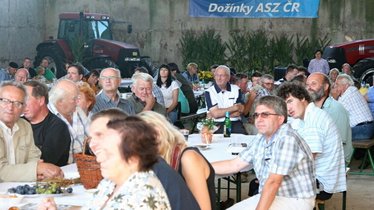 Politické proklamace a činy