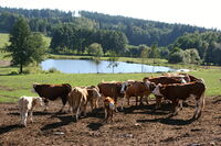 Letošní Selské dožínky hostilo Jindřichohradecko 