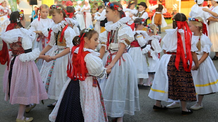 Týden v zemědělství podle Petra Havla - č. 34