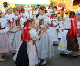 Týden v zemědělství podle Petra Havla - č. 34