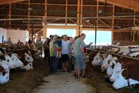 Dožínky ASZ ČR - pořádná selská jízda