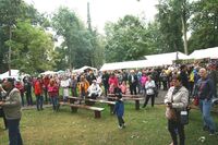 Selské dožínky netradičně a v dešti