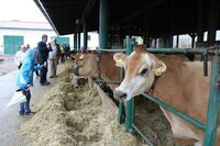Selské dožínky netradičně a v dešti