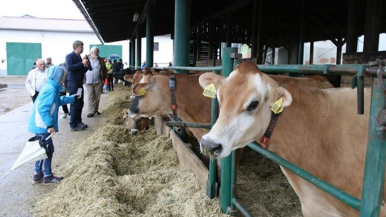 Oranžovou stuhu 2018 získala od MZe obec Svrkyně ze Středočeského kraje