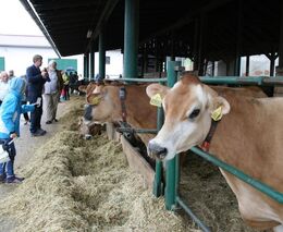 Oranžovou stuhu 2018 získala od MZe obec Svrkyně ze Středočeského kraje