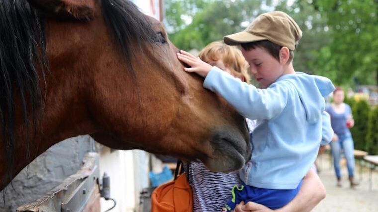 Zábava, poučení, poznání - Selské slavnosti mají co nabídnout