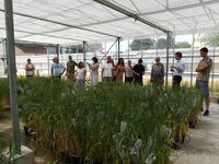 K radosti pana Mendela