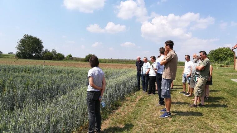 K radosti pana Mendela