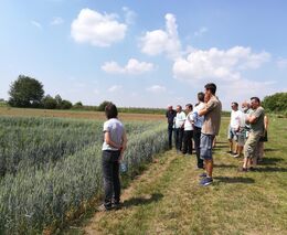 K radosti pana Mendela