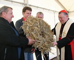 Církev chce více spolupracovat se zemědělci