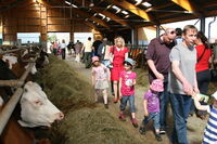 Rok 2014 bude v ASZ ve znamení mnoha aktivit Rok 2014 bude v ASZ ve znamení mnoha aktivit