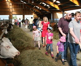 Farmářské slavnosti jsou správnou propagací českého zemědělství