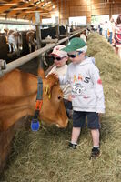 Farmářské slavnosti podporují úctu a respekt jednoho k druhému a navrací lidi k pospolitosti