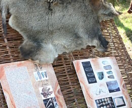 Na Farmářských slavnostech ve Vysoké Libyni poznáte život pravěkých zemědělců