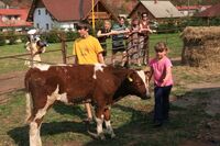 Farmy členů Asociace se otevřou široké veřejnosti i letos   