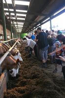 Tak todle naše Lhota eště nezažila! Tak todle naše Lhota eště nezažila!