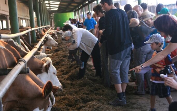 Tisíce lidí strávily velikonoční sobotu na Farmářských slavnostech v Klášterské Lhotě