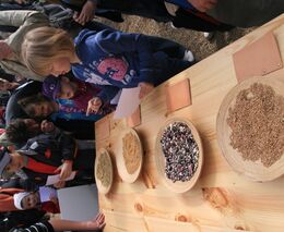 Farmářské slavností se těší velké oblibě, snad přinesou zemědělský dorost