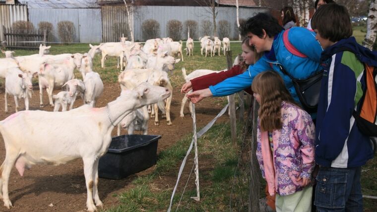 Štafetu Farmářských slavností přebírá Rodinná farma Mejsnar