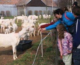 Štafetu Farmářských slavností přebírá Rodinná farma Mejsnar