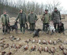 Myslivecké dotace letos kraj nevyplatí