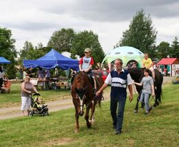 Poslední Farmářské slavnosti roku 2013 budou ve znamení koní 