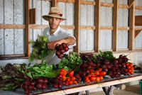 Co nabídne letošní ročník filmového festivalu na ČZU? 