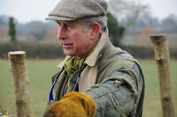 Co nabídne letošní ročník filmového festivalu na ČZU? 