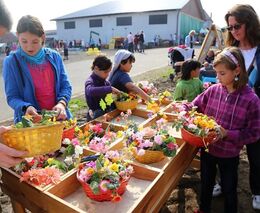 Rodinná farma - zdroj přidané hodnoty 