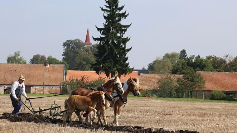 Poznejte rodinné hospodaření s Klubem mladých farmářů