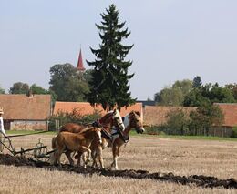 Poznejte rodinné hospodaření s Klubem mladých farmářů
