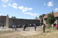 Sázení stromu na Mašínově statku