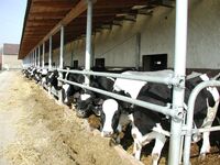 Farma roku 2002 se otevře veřejnosti 