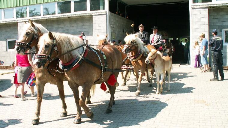 ANIMAL TECH a Národní výstava hospodářských zvířat se přesouvají na září